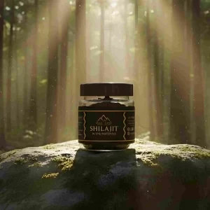 shilajit 100 gram