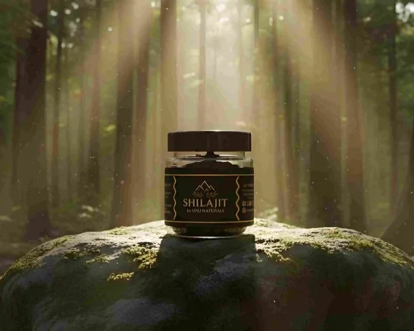 shilajit 100 gram