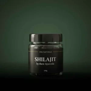 Shilajit-100-gram