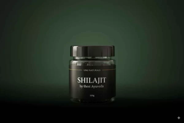Shilajit-100-gram