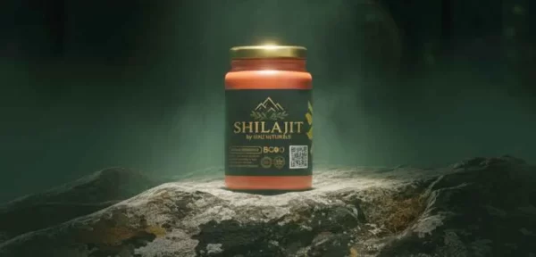 500 gram shilajit