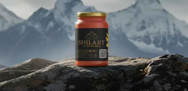 500 gram shilajit