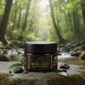 Shilajit 40 gram