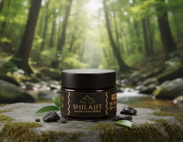 Shilajit 40 gram